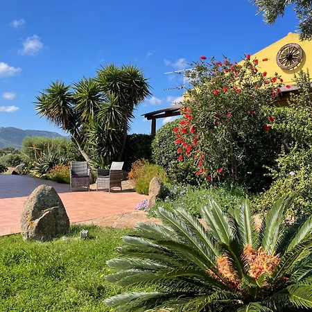 Alloggio per agriturismo Campesi Casale Tra Le Vigne Aglientu