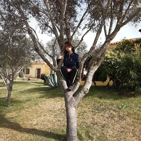 Vakantieboerderij Campesi Casale Tra Le Vigne Aglientu