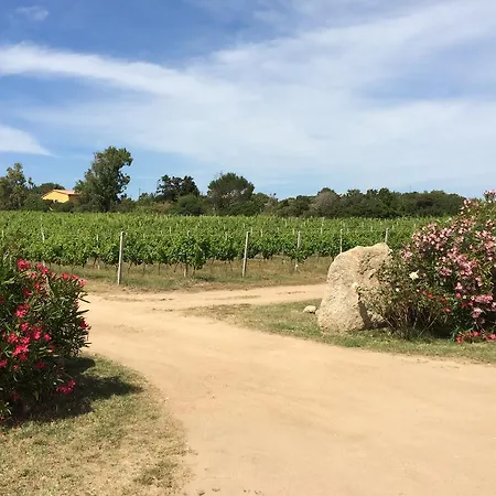 Campesi Casale Tra Le Vigne *