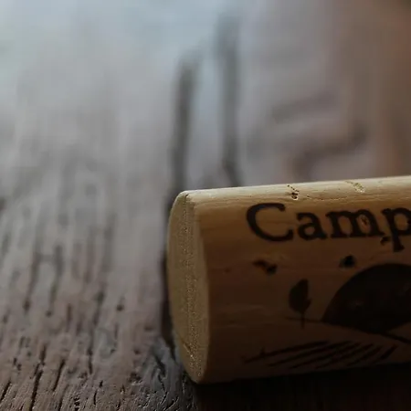 Campesi Casale Tra Le Vigne * Aglientu