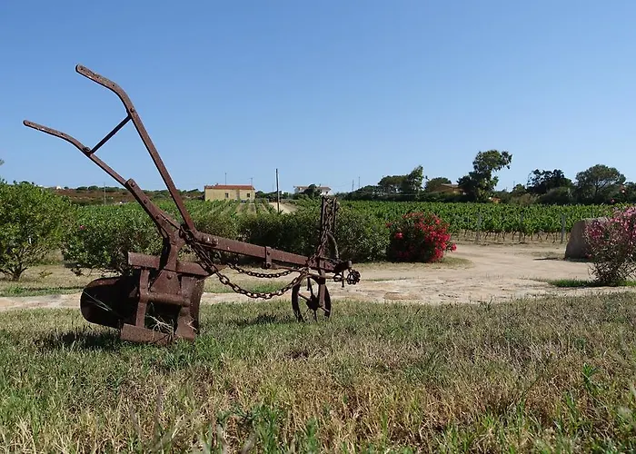 Campesi Casale Tra Le Vigne Alloggio per agriturismo Aglientu