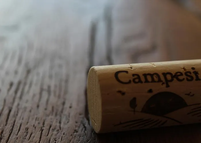 Campesi Casale Tra Le Vigne * Aglientu