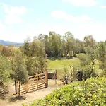 Campesi Casale Tra Le Vigne