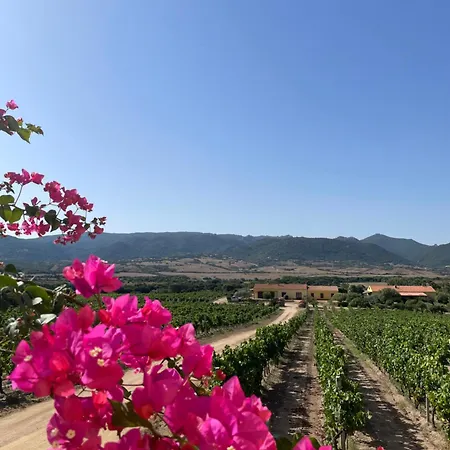 Campesi Casale Tra Le Vigne Farm stay