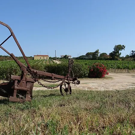 Campesi Casale Tra Le Vigne ファームステイ アリエントゥ