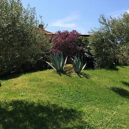 Campesi Casale Tra Le Vigne * アリエントゥ