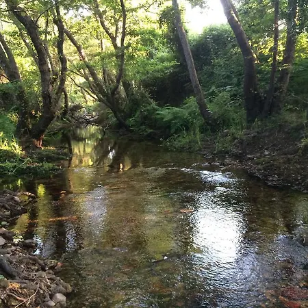 Campesi Casale Tra Le Vigne ファームステイ アリエントゥ