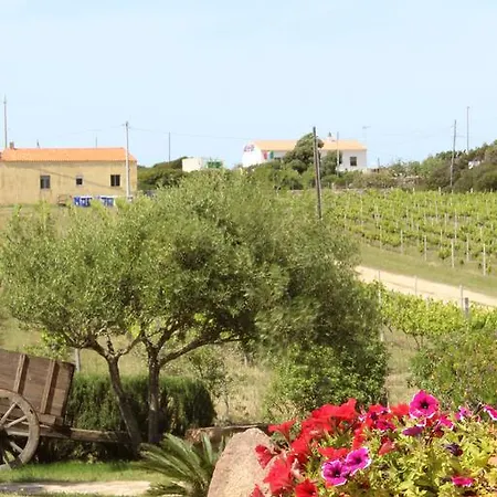 Campesi Casale Tra Le Vigne Farm stay *