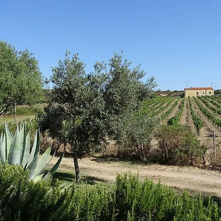 Campesi Casale Tra Le Vigne ファームステイ アリエントゥ