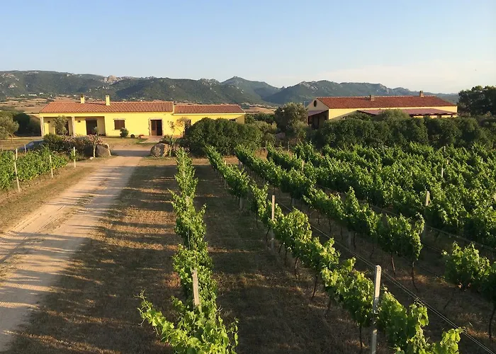 Campesi Casale Tra Le Vigne ファームステイ *