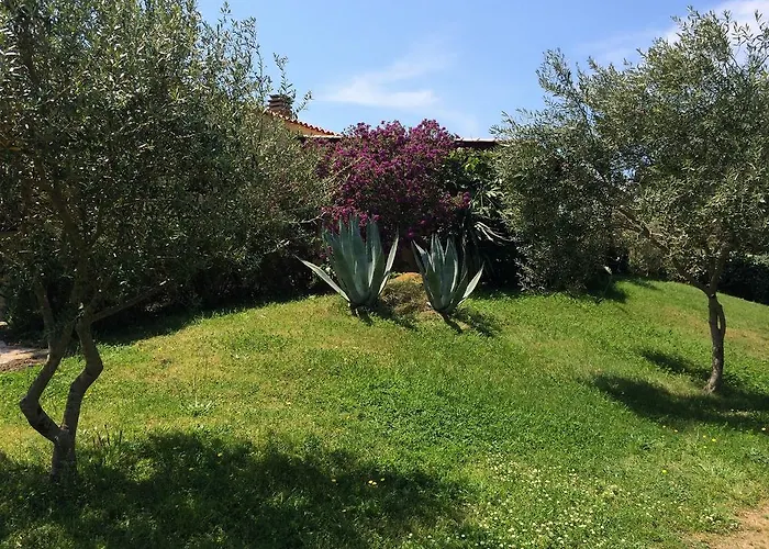 Campesi Casale Tra Le Vigne * アリエントゥ