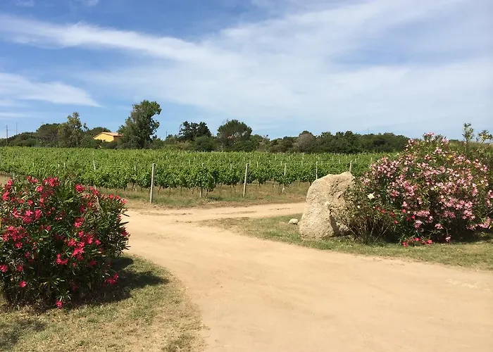 Campesi Casale Tra Le Vigne *