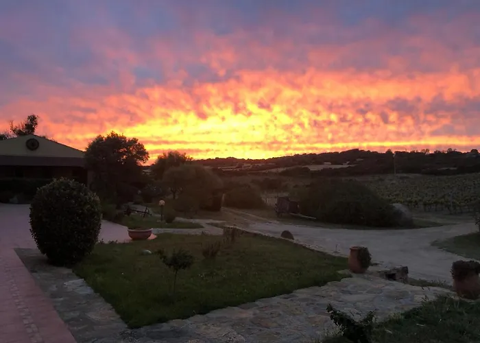 Campesi Casale Tra Le Vigne * アリエントゥ